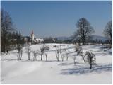 Občina - Sveti Vid (Vidovska planota)